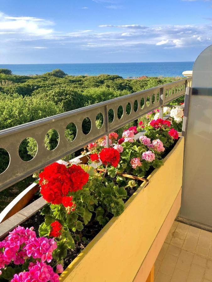 Hotel Caravel B&B Misano Adriatico Bagian luar foto